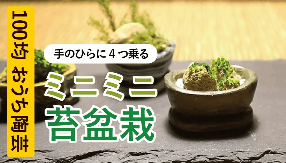 5分でわかる！ミニミニ苔盆栽のつくりかた ( #オーブンねんど で玉づくり・板づくり） [ #100TOU ] #2